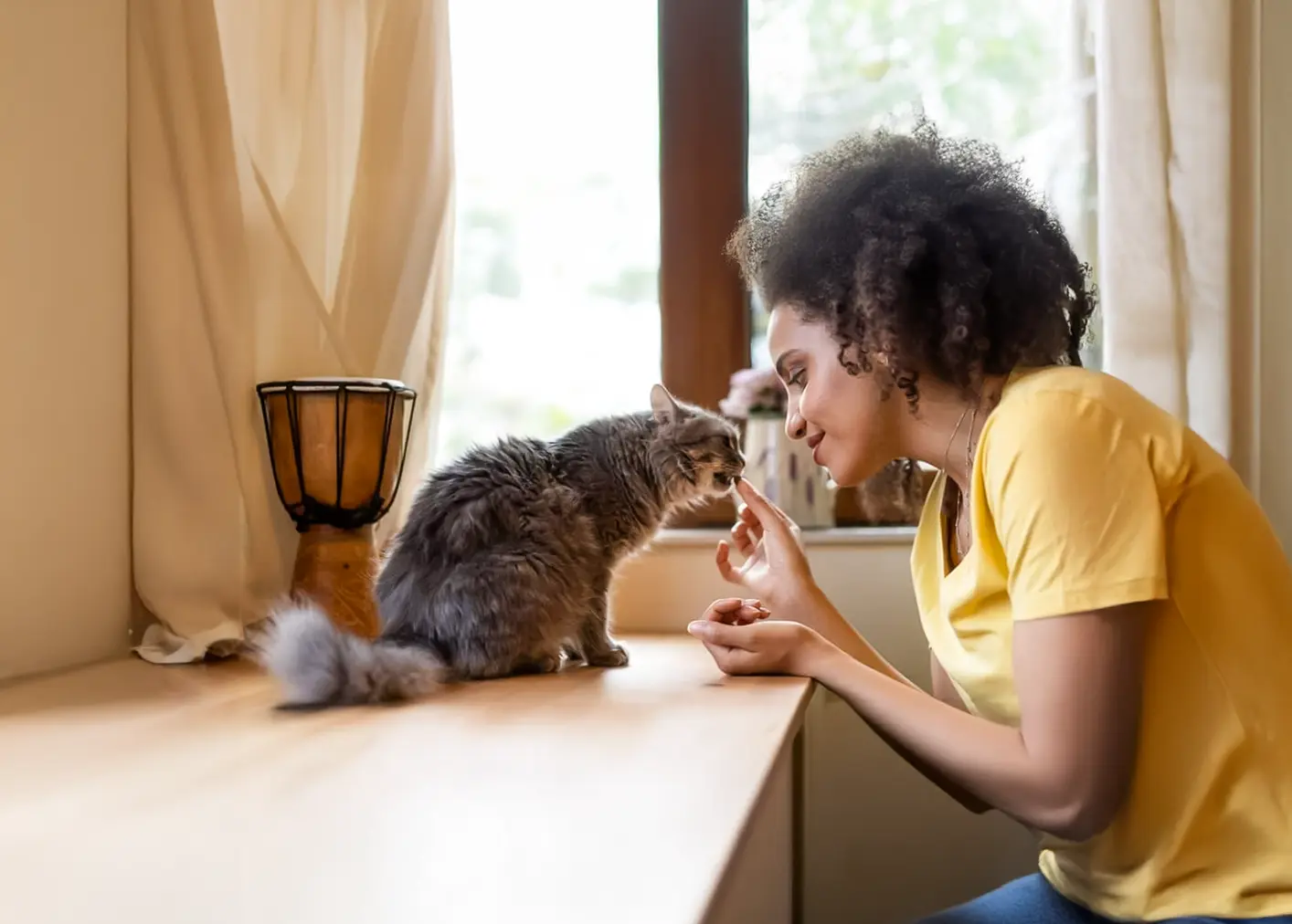 
Een kat met zijn gezin
